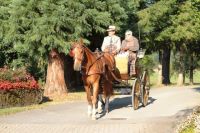 2016-09-24-25-Mönch-Trad-MOST1 943